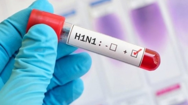 YemenShabab2019 01 25 11 14 48 252944