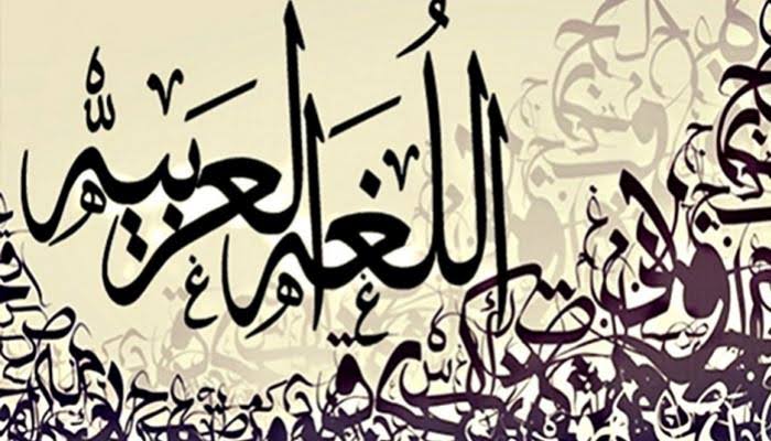 Images 4 1