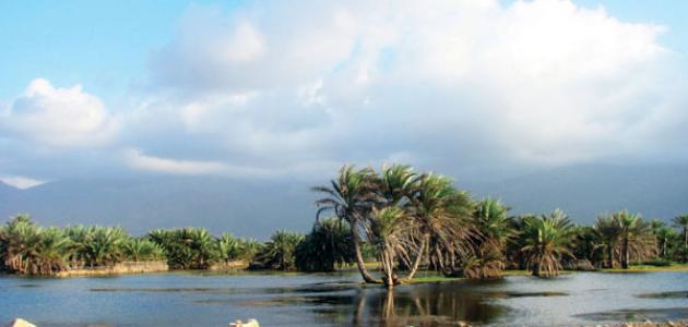 سقطرى2