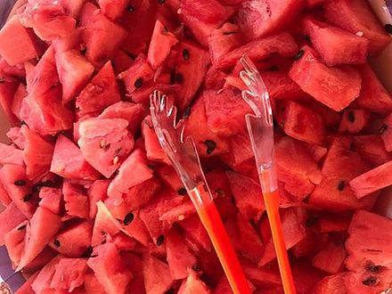 Watermelon Pieces