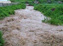 تنزيل 2020 07 26T163954.648