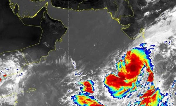 سقطرى 1