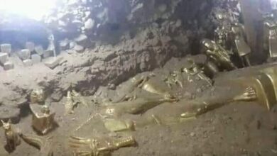 صورة شاهد اول صورة لاكتشاف كنز أثري من الذهب الصافي الذي لا يقدر بثمن في اليمن