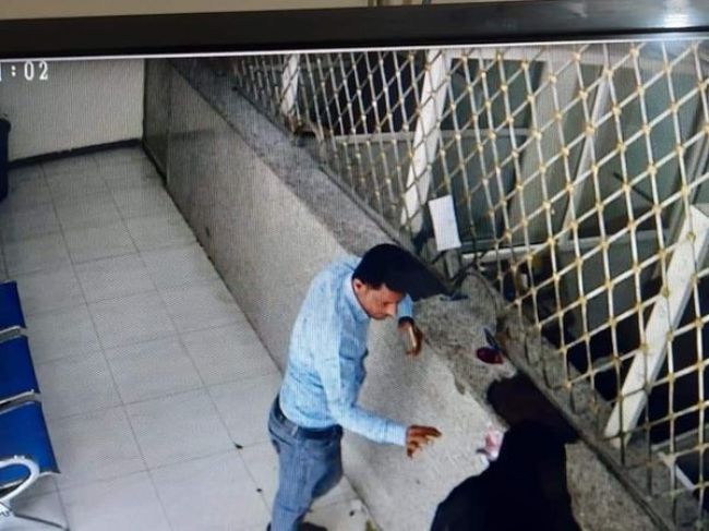 شاهد..جريمة جديدة في "إب" ..هذا ما حدث لزوجة مغترب بعد استلامها لحواله مالية من محل للصرافة !(صور) 1608924332 1
