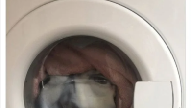 صورة رجل يعثر على “عفريت ” داخل غسالة ملابس المنزل.. صورة