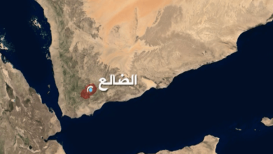صورة فتح طريق جديد يربط إب بالضالع