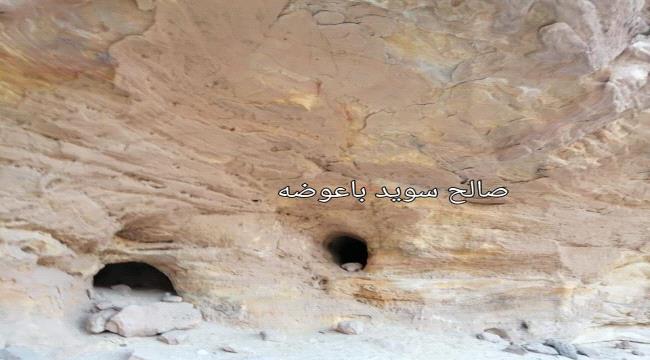 ذهبب