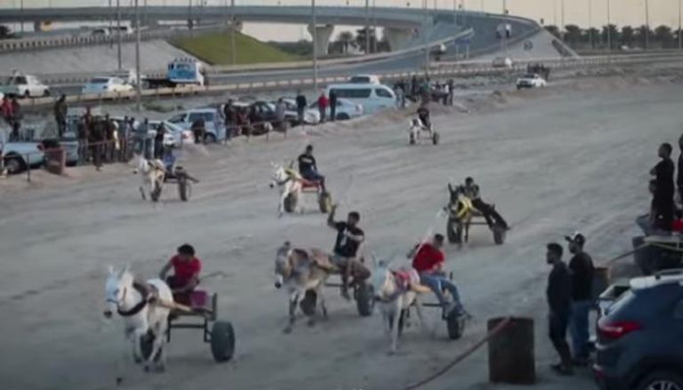 135 205555 Donkey Race Bahrain 700x400