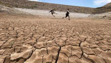 صورة تحذيرات من عواقب استبعاد اليمن من تمويل برامج المناخ